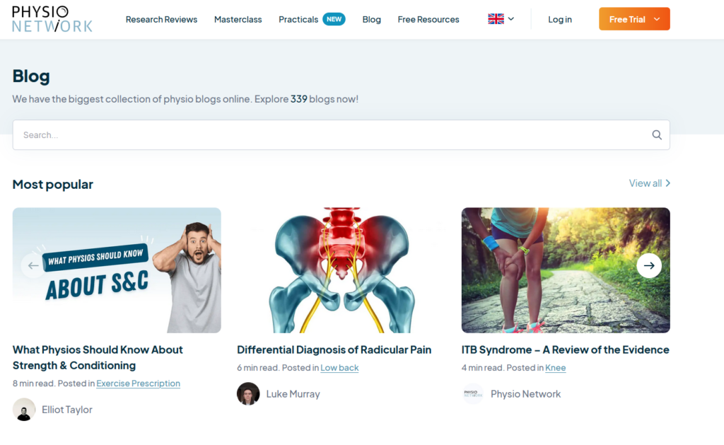 seo for physiotherapist using a blog